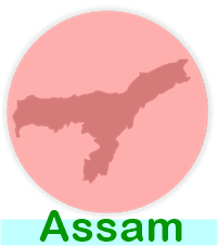 assam state s